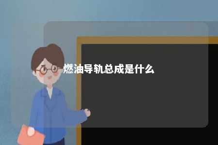 燃油导轨总成是什么 